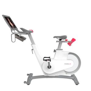 Купить Велотренажер Yesoul BV1-W PLUS в Черноголовке 